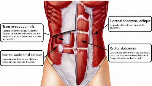 Hur man bygger en 8-pack abs och varför bara ett fåtal har dem