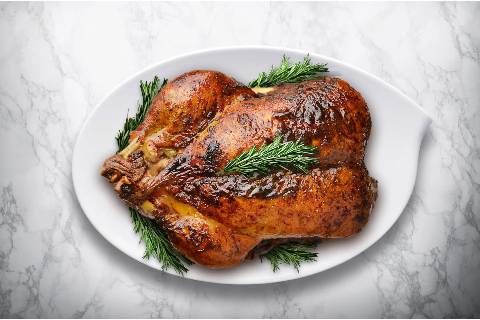 5 recetas saludables de pavo