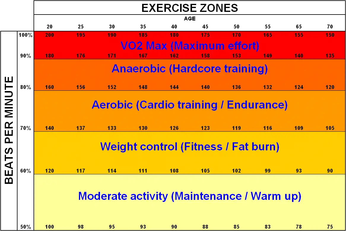 Migliora le tue prestazioni con le zone di allenamento della frequenza cardiaca