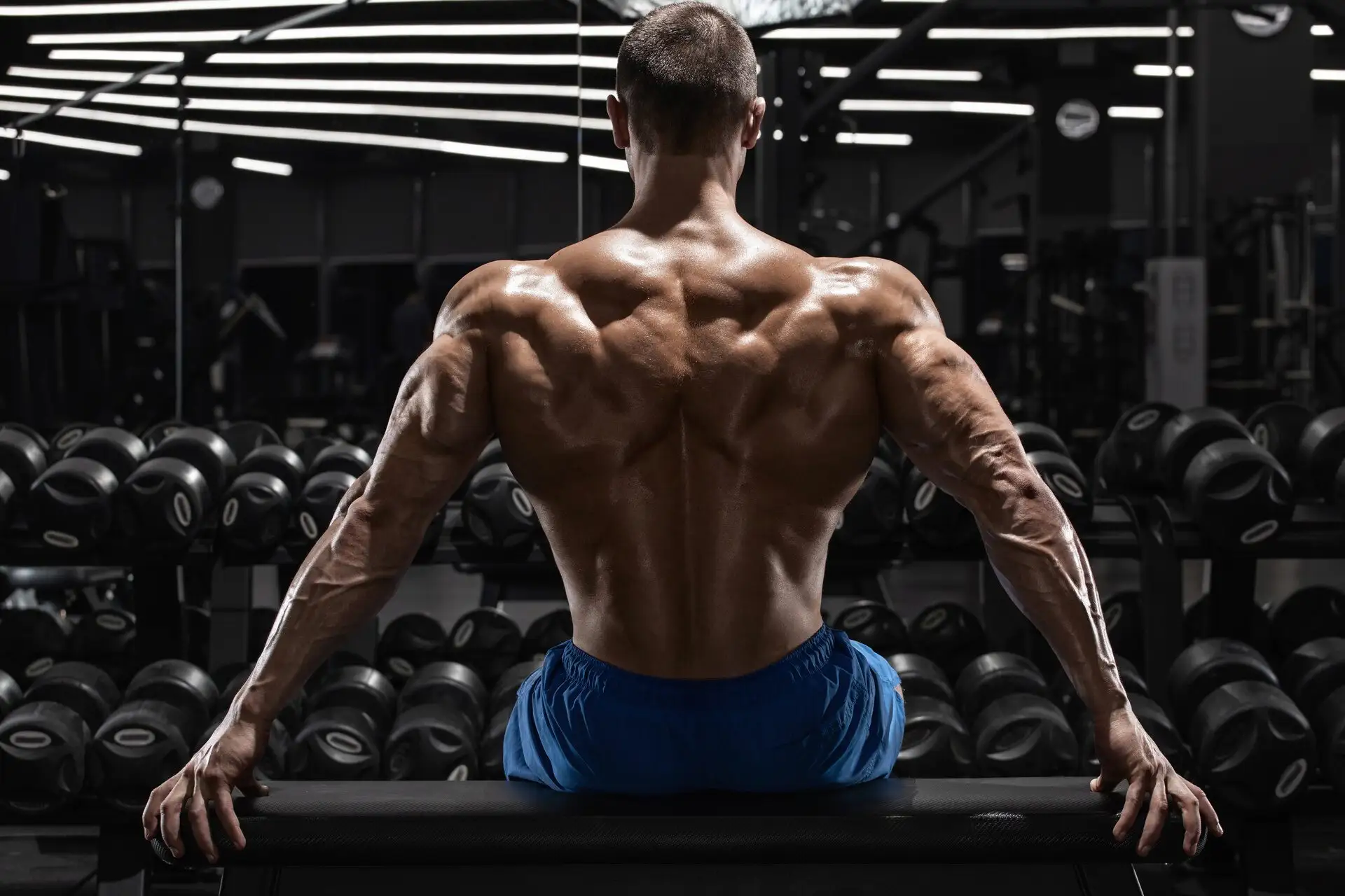 Optimized Lat Training: Όλα όσα πρέπει να γνωρίζετε