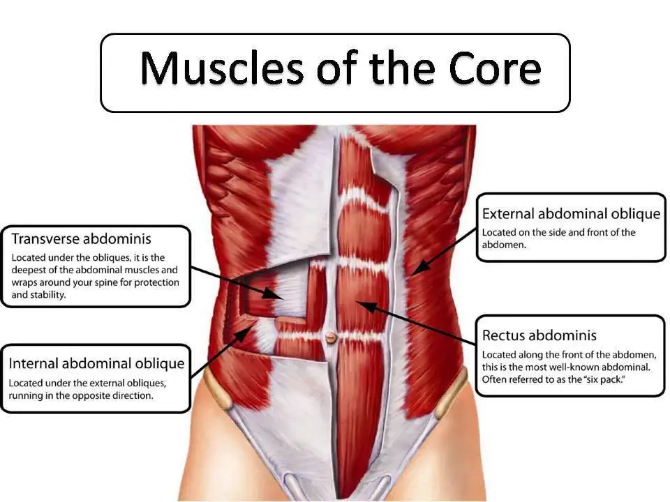 Os 5 principais exercícios abdominais que você deve experimentar em casa